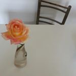 Profile Picture of Dobrilladobrilla (@dobrilladobr) on Instagram