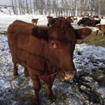 Profile Picture of Darren Lundgren (@darrenlundgren5679) on Instagram