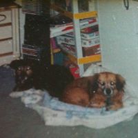 Profile Picture of Sue Calhoun (@sue-calhoun-10) on Quora