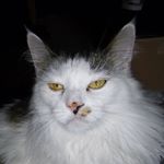 Profile Picture of David Standen (@david_standen) on Instagram