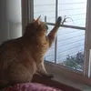 Profile Picture of jangoldstein542 (@jangoldstein542) on Tiktok