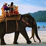 Profile Picture of Sridhar Rao (@sridhar515) on Instagram