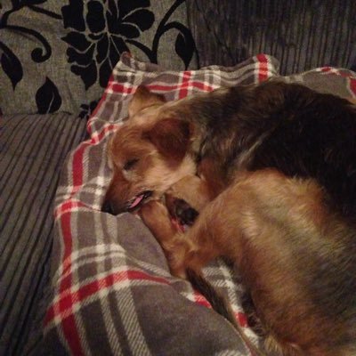 Steven Harrigan - Twitter Profile Picture of Steven Harrigan (@StevenHarrigan3) on Twitter