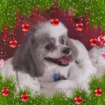 Profile Picture of terry schaffer (@schaffer9784) on Instagram