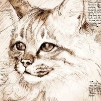 Profile Picture of Devin Hickman (@devin-hickman-4) on Quora