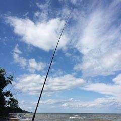 Profile Picture of Gary McKeaver (@garymckeaver) on Tiktok