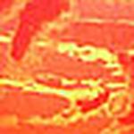 Daniela Salinas - Flickr Profile Picture of Daniela Salinas (@dana_bsas) on Flickr