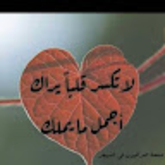 Profile Picture of Saja Shaer (@sajashaher8) on Poshmark