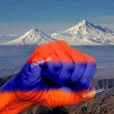 Profile Picture of Sara Tatikian (@SaraTatikian) on Twitter