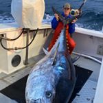 Profile Picture of Colin York (@colinyork) on Instagram