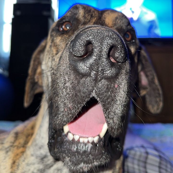 Profile Picture of Eric Walling (@@ericwalling1) on Tiktok