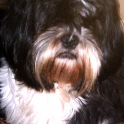 Gerry BoB 13 - Twitter Profile Picture of Gerry BoB 13 (@HoeyGerard) on Twitter