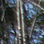 Profile Picture of Timothy Zurowski (@vermont1730) on Flickr