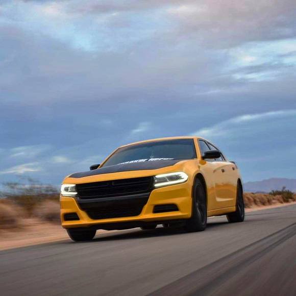 Profile Picture of Danny Bass (@danny_bass) on Poshmark