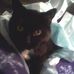 Profile Picture of Robert Harshbarger (@robert.harshbarger.52) on Facebook