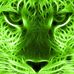 Profile Picture of Lisa Borrego (@Lisa-Borrego) on Facebook