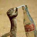 Profile Picture of Claudia Neumann (@claudia.neumann.1297) on Instagram