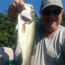 Profile Picture of Dave Lochner (@dave_lochner) on Twitter