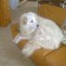 Profile Picture of Pierre Laurent (@pierre.laurent.739326) on Facebook