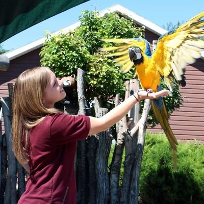 Profile Picture of Alyssa Cahoon (@Ali_Jo54) on Twitter