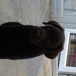 Profile Picture of mathew (@matthew.pickering06) on Instagram