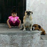 Profile Picture of Benito Aviles (@aviles_benito) on Instagram