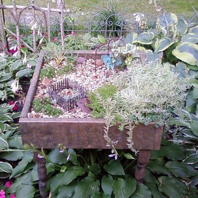 Profile Picture of Joy Walsh (@fairyboxgarden) on Twitter