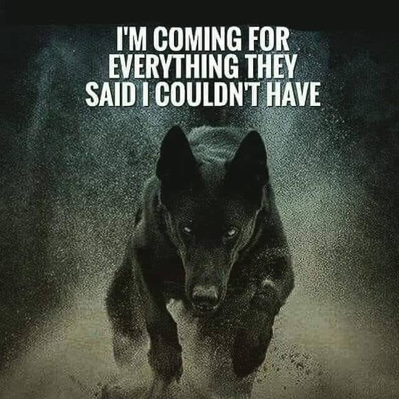 Profile Picture of Devin Rowley (@chefrowley2013) on Poshmark