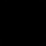 Profile Picture of jarod mark griffon (@jarodgriffon) on Instagram