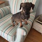 Profile Picture of PhyllisCobbandDaphne (@phylliscobbanddaphne) on Instagram