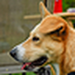 Profile Picture of Nancy Boylan (@sunnh20) on Flickr