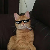 Profile Picture of Tom Hung (@tomhung8867) on Youtube