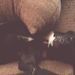 Profile Picture of Joanna Corry (@jeannyk84) on Pinterest
