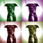 Profile Picture of Jason N Manda Adams (@jasonandmanda) on Instagram