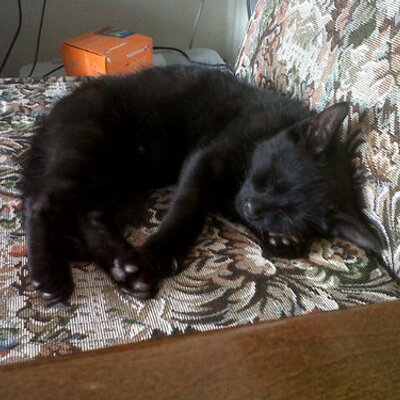 Profile Picture of Stephanie N Cuthbert (@steph5001) on Twitter