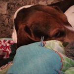 Profile Picture of Robert Lhamon (@robertlhamon) on Instagram