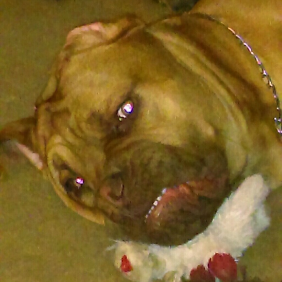 Profile Picture of Jim Nance (@jimbo923) on Poshmark