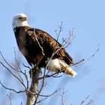 Profile Picture of John Perrotta Sr. (@perrottasr.john) on Instagram