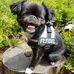 Profile Picture of Sandra Reidel (@sandra.reidel.3) on Facebook