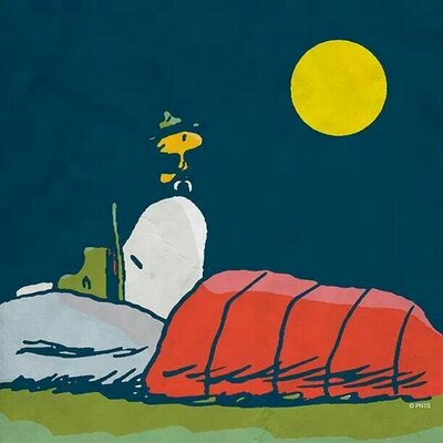 Profile Picture of Stephen Clyde (@darragh2511) on Twitter