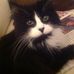 Profile Picture of Marilyn Francis (@marilyn.francis.1671) on Facebook
