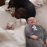 Profile Picture of Carlin Larson (@carlinlarson) on Instagram