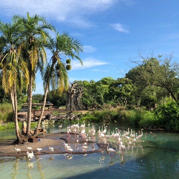 Profile Picture of Elise Bierer (@elmcbi) on Poshmark