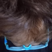 Profile Picture of Adam Aus (@sallyadi2807) on Youtube