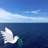 Profile Picture of Jimmy Diggs260 (@@jimmydiggs1) on Tiktok