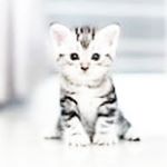 Profile Picture of Robin Murphy (@robin.murphy999) on Instagram