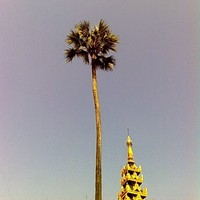 Profile Picture of Aye Aye Soe (@aye-aye-soe-6) on Quora