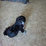 Profile Picture of Marie Wicklund (@mariewicklund1) on Pinterest