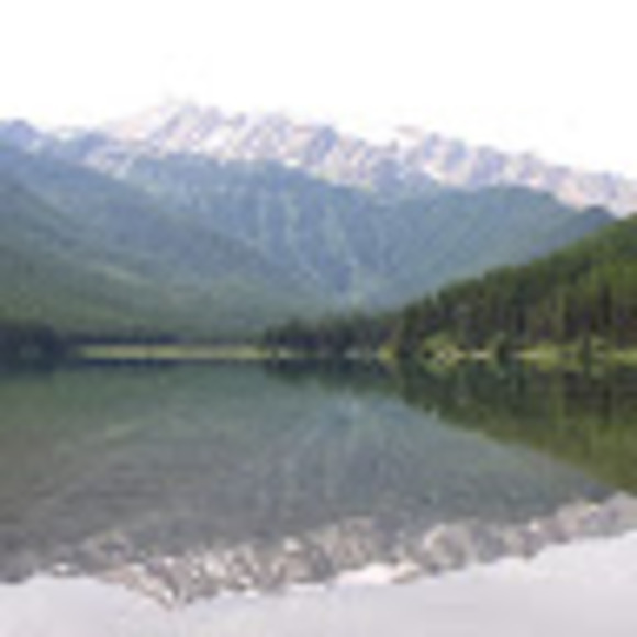 Profile Picture of Nathan Richardson (@nrich86) on Poshmark