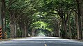 Profile Picture of Syuejia Districton Wikipedia